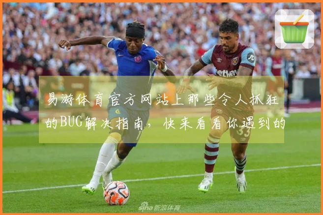 易游体育官方网站上那些令人抓狂的BUG解决指南，快来看看你遇到的有没有！