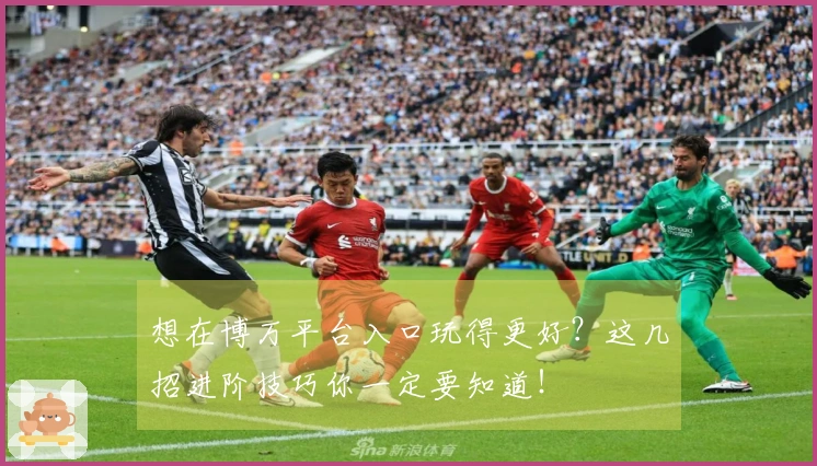 想在博万平台入口玩得更好？这几招进阶技巧你一定要知道！