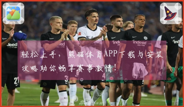 轻松上手,熊猫体育APP下载与安装攻略助你畅享赛事激情!